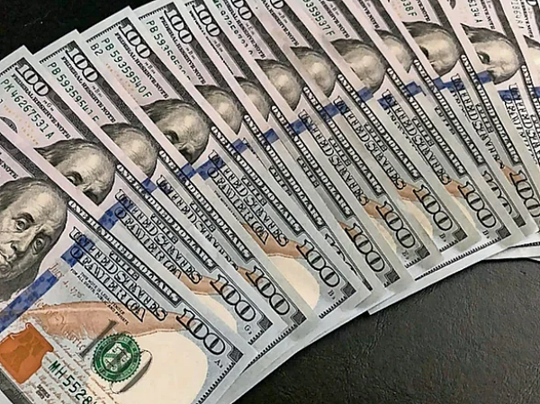 华女参与“杀猪盘”诈骗13人，涉案金额超$250万！获刑120天（组图） - 3