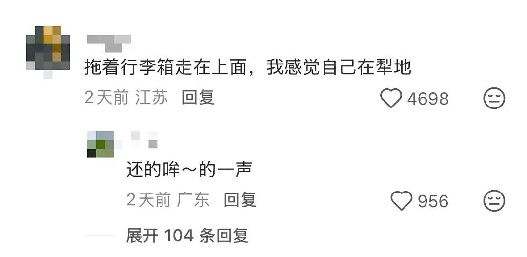 好看不中用？广州白云机场T3航站楼地毯，因太难走被吐槽“拉箱子拉出犁地的体验”！网友：有氧达标了 - 8