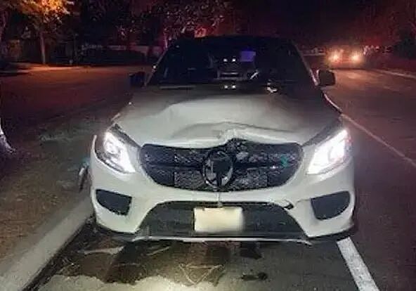 天价惩罚！美国名媛与前MLB球星酒后飙车，撞死11岁与8岁两兄弟，判赔1.76亿美元！ - 3