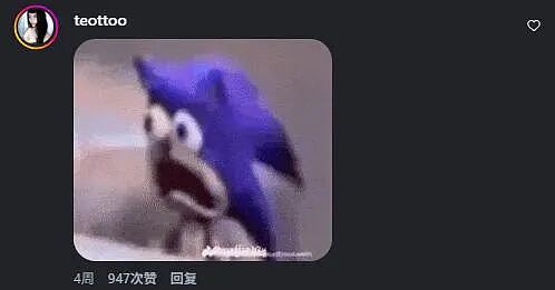 太逆天！澳洲店主将真老鼠缝到内裤上，当时尚单品？？网友：大受震撼（组图） - 17