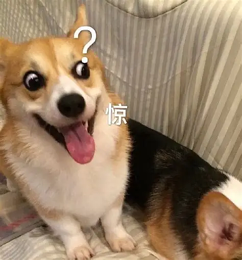 被中国女员工侵吞30万+诬告欠薪,新加坡老板携3000页证据跨国维权!最终...(组图) - 1