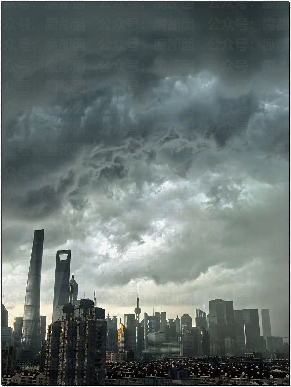 上海变海上?魔都多地严重内涝,街头积水及腰,盒马被淹(视频/组图) - 3