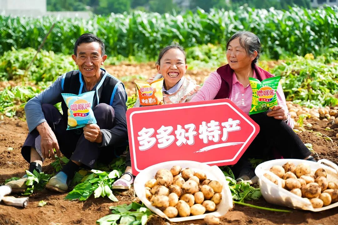 拼多多不卷低价了:砸1000亿,要干一件更狠的事(组图) - 7