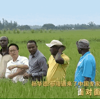 现实版顶级爽文!中国“种地仙人”勇闯非洲,混成当地大佬:AK保镖开路、专车接送(组图) - 30