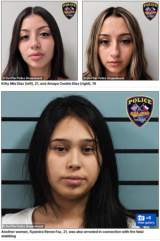 美国街头血案:5孩母亲光天化日下被当街刺死,3名年轻女子被捕时竟还冲着镜头嬉笑(组图) - 5