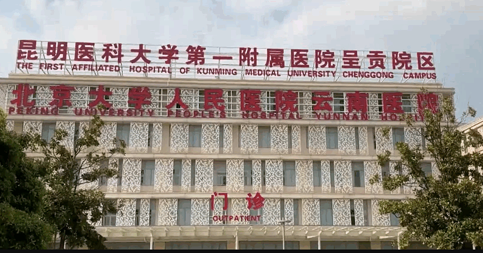 78岁老人回中国探亲，突发脑出血陷入昏迷，空中救护要价40万加元（组图） - 3