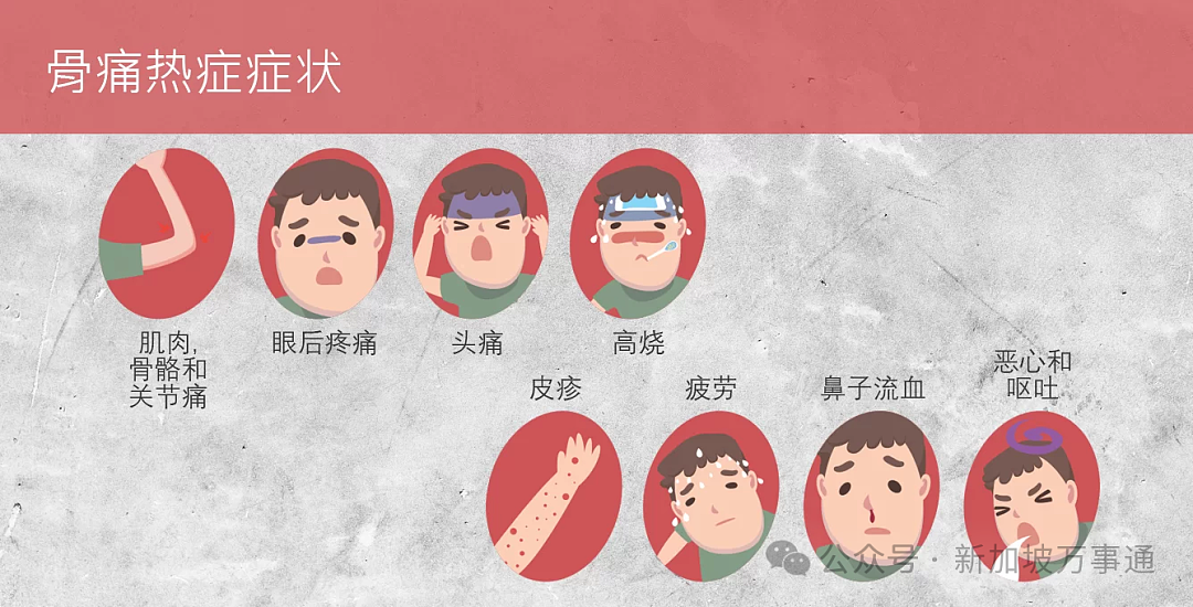 超1300人感染、单周激增131起、17个感染群!新加坡骨痛热5大高危“黑区”曝光(组图) - 8