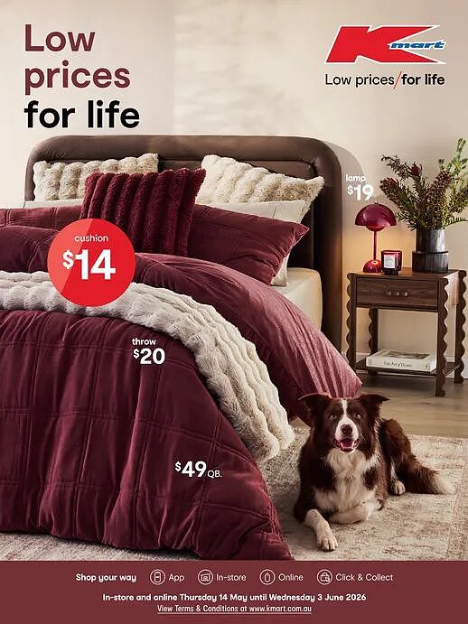 冬天需要点绿色！【Kmart】最新一期居家品优惠目录 - 1