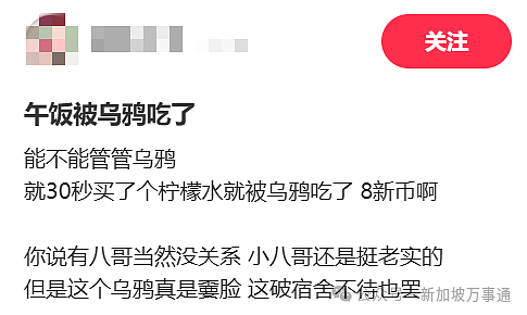 新加坡“黑帮”惨遭围剿!全岛9区紧急射杀,1天击毙16名成员(组图) - 10