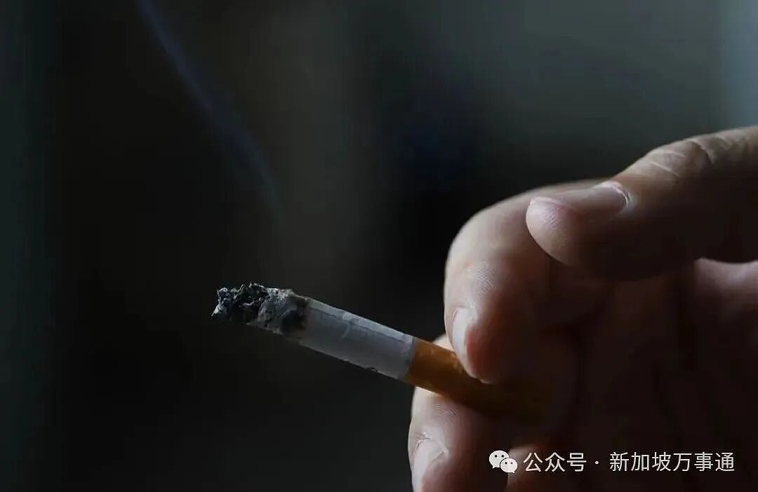 女孩在新加坡地铁站喝奶茶事件持续发酵，全岛月台禁食规则引爆热搜！（组图） - 5