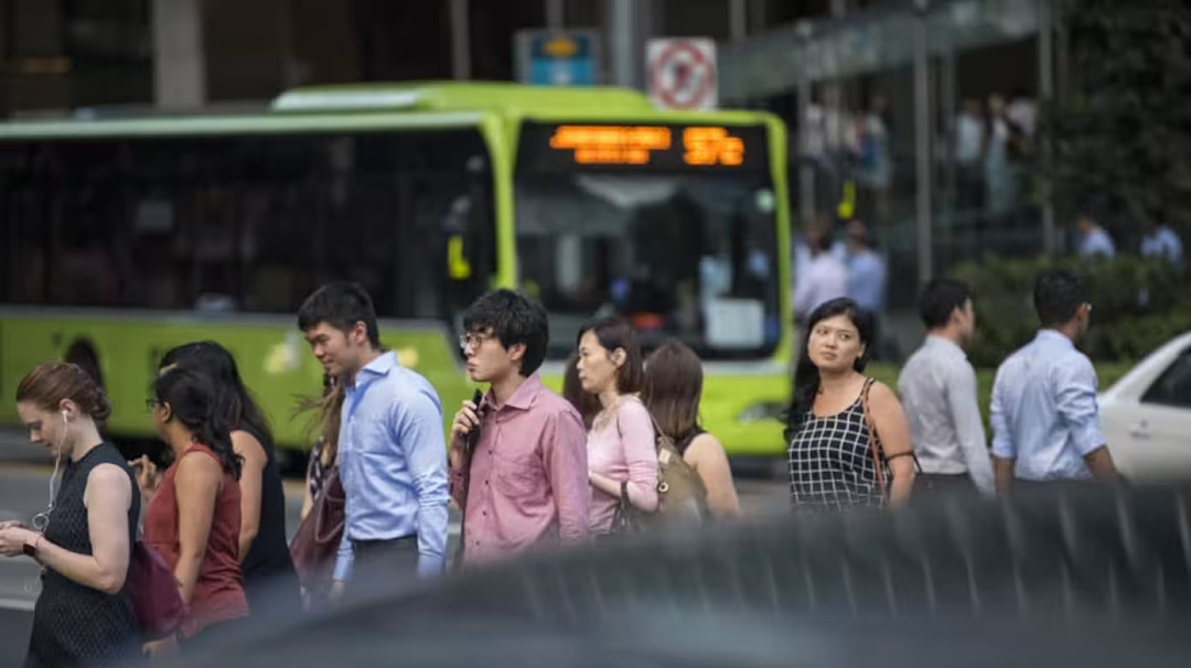 近40万中国打工人在新加坡：福建、广东籍最多，真实生存现状竟是...（组图） - 5