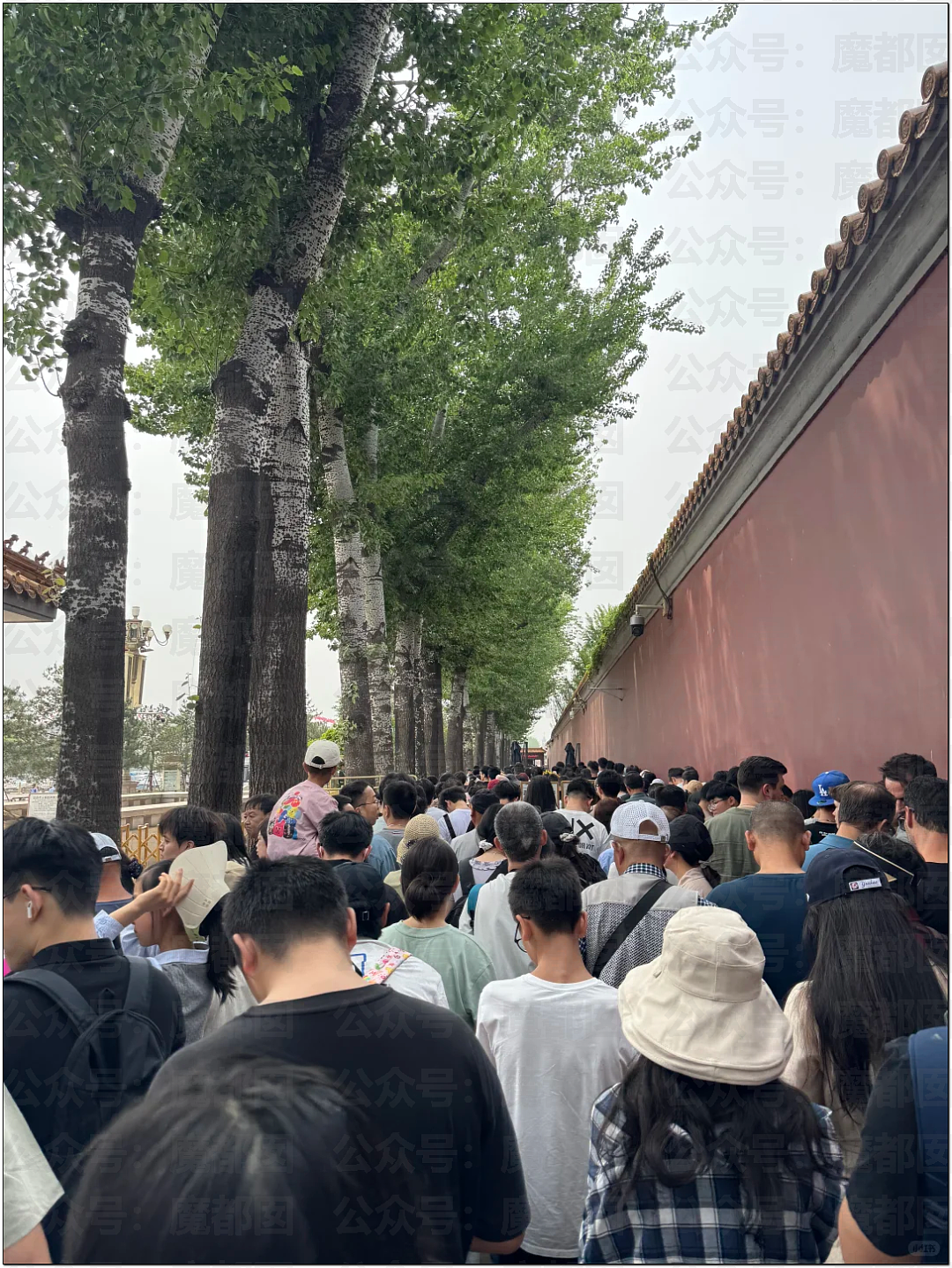 肉贴肉，人挤人！五一长假首日，中国各大景点已爆（组图） - 31
