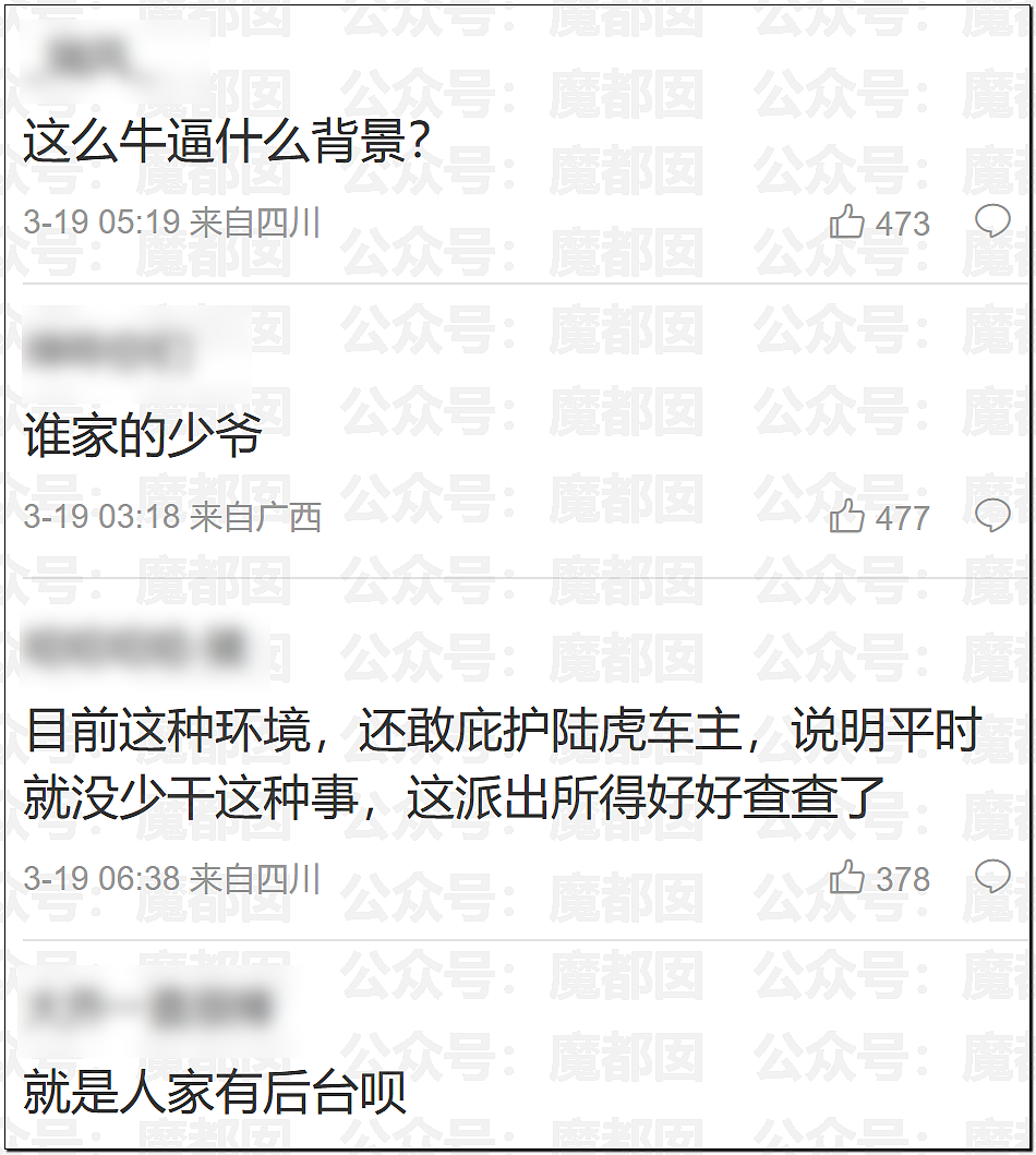 全网质疑：1分钟别停奔驰8次的路虎车主，到底是哪位达官显贵？（组图） - 42
