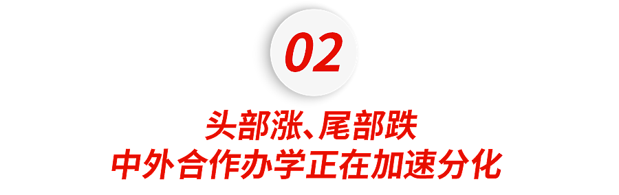 爆火的中外合办大学,北上广中产娃已高攀不起… - 7