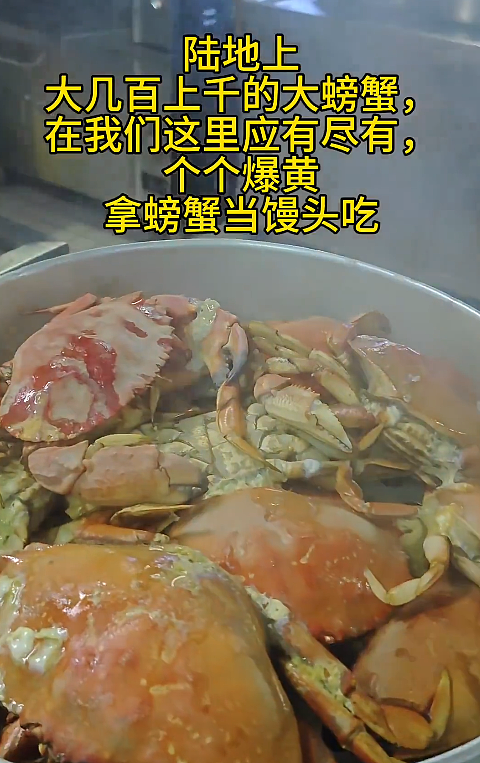 炸锅! 两名华人在加拿大捕捞大量珍宝蟹:,在船上现蒸