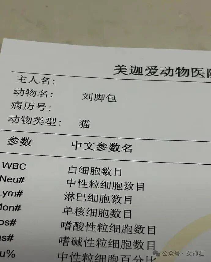 男朋友跑去纹身，结果我把他照片发网上..?网友笑疯：成了LV真皮人? - 64