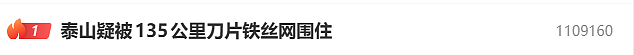 泰山景区周边装上135公里刀片刺绳镀锌隔离网？泰安文旅局工作人员：不了解此事，也管不了景区（组图） - 1