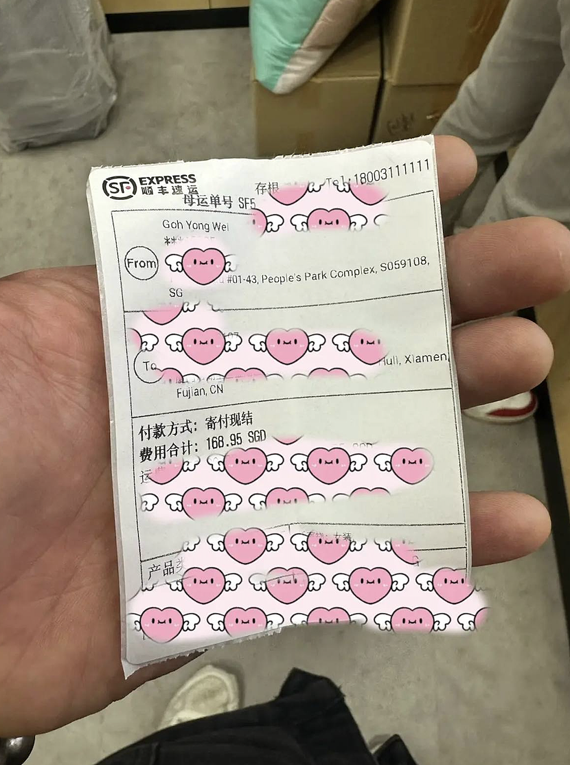 游客已回中国行李却落网约车上，新加坡司机这一惊人举动刷屏全网！（组图） - 4