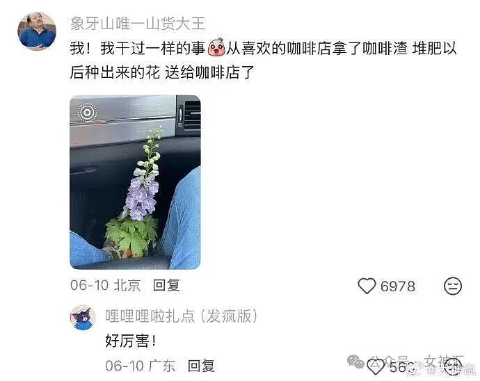 在X宝买了件性感连衣裙，把自拍发网上后..？网友笑疯：这是蟒蛇的身份证？ - 37