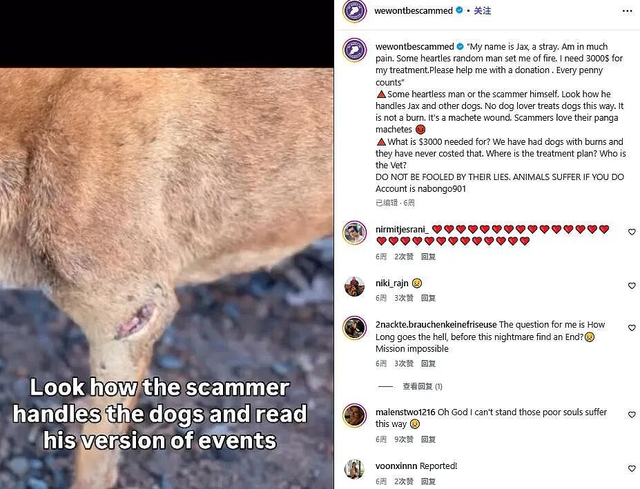 非洲虐狗都成产业了？一边打断狗腿，一边在网上求助：请捐款给狗治病（组图） - 7