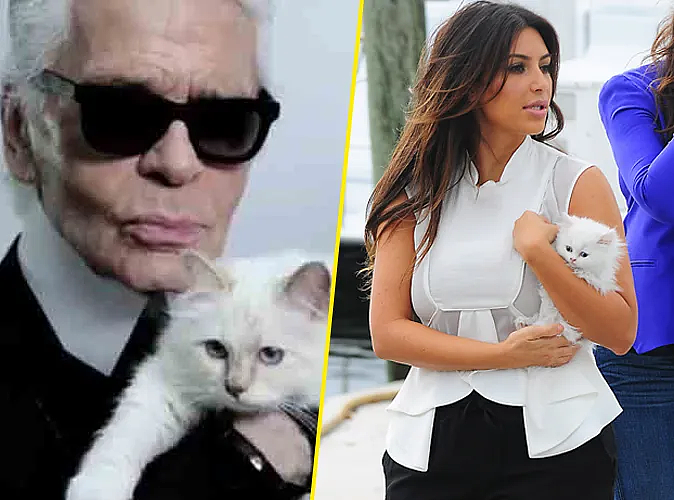 世界首富猫为何破产?老佛爷给它留了150万刀遗产,如今蜗居公寓落差太大!(组图) - 19