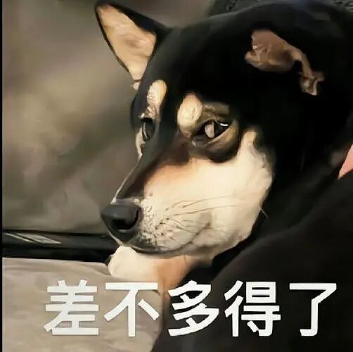 亏光2亿卖惨求生, 拳王夫妻“一夜返贫”！人到中年最忌讳什么？（组图） - 19
