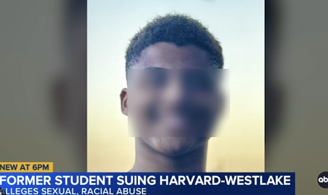 美贵族学校富二代白男侵犯黑人同学！鞭子抽打称对方是奴隶？！ - 9