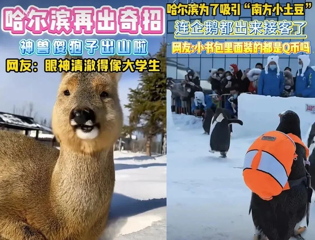 请来“项羽”的苏超，又吓了所有人一跳（组图） - 21
