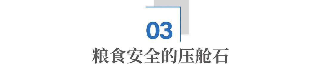 小小辣椒，何以成就千亿产业？（组图） - 8