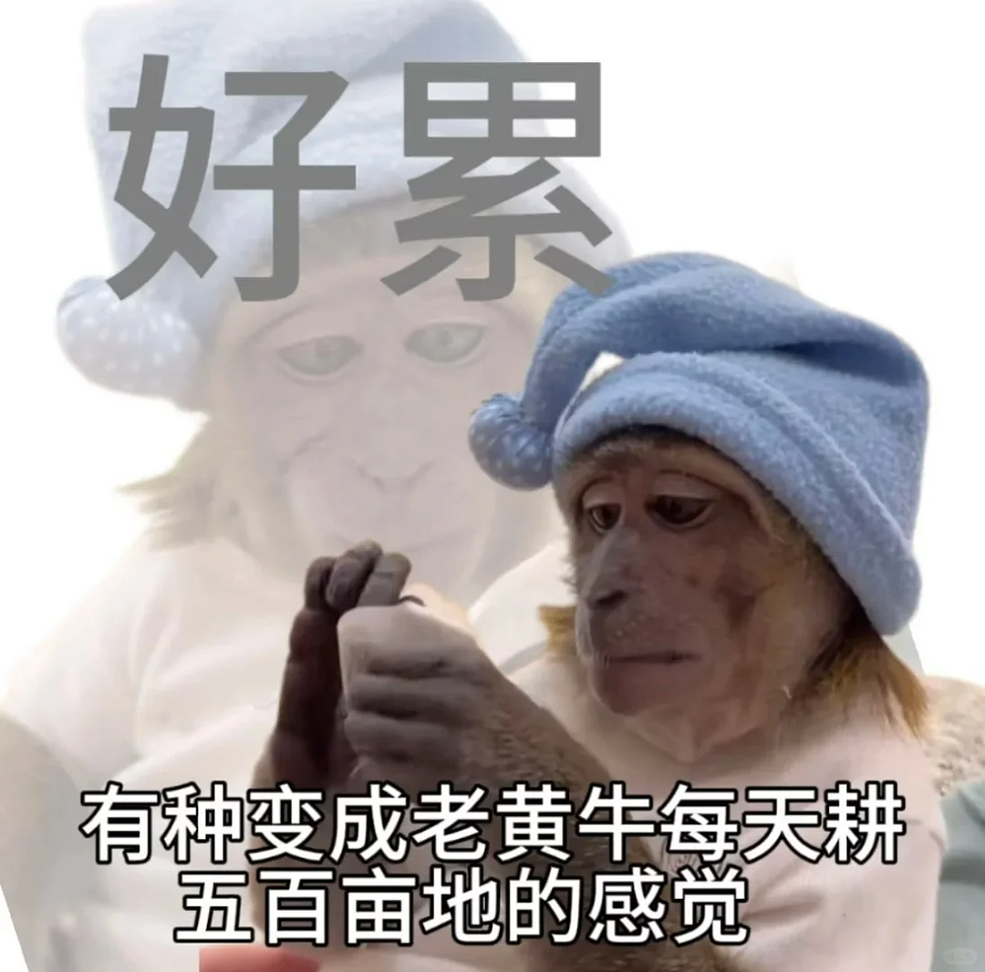 新加坡人均有效生命长远超中国！看完这组硬核“证据”彻底被震撼 - 2