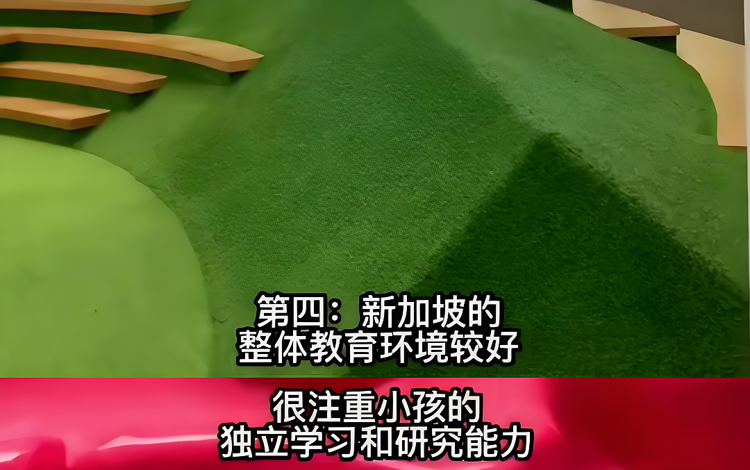 中国网红博主硬核剖析新加坡“封神级”5大生存优势！唯独这点引惹怒无数网友... - 6