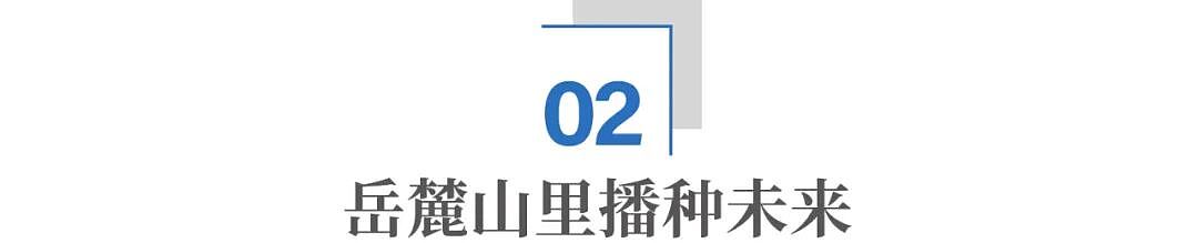 小小辣椒，何以成就千亿产业？（组图） - 5