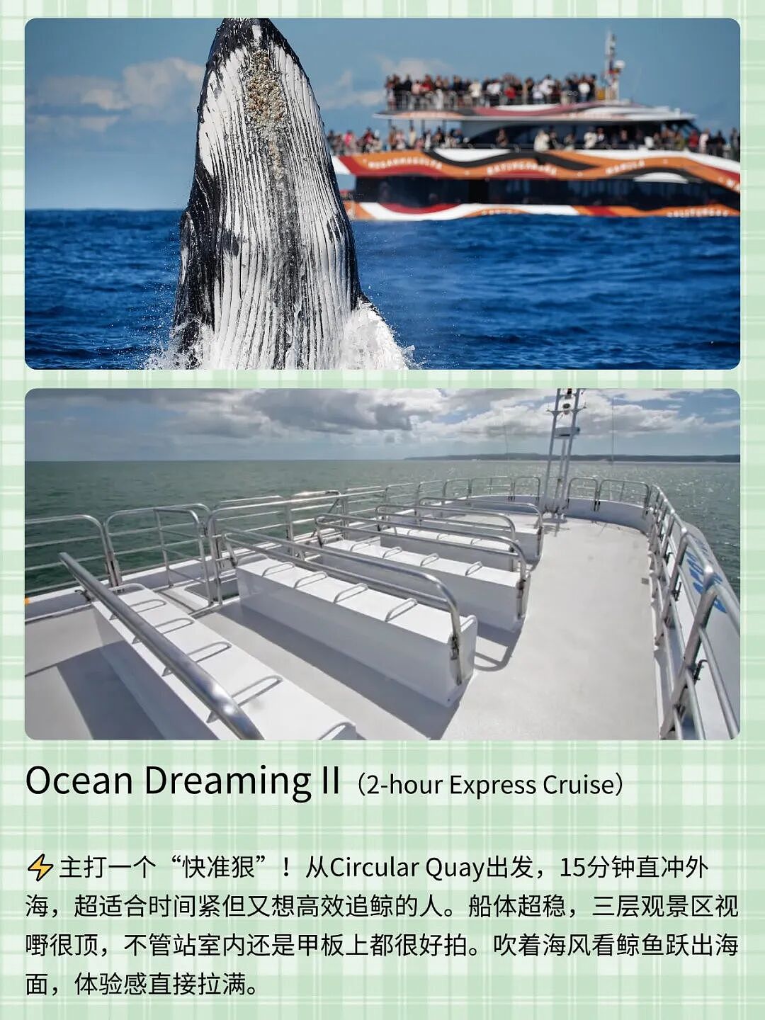 悉尼观鲸千万别盲订!!不同船体验差太多了… - 3