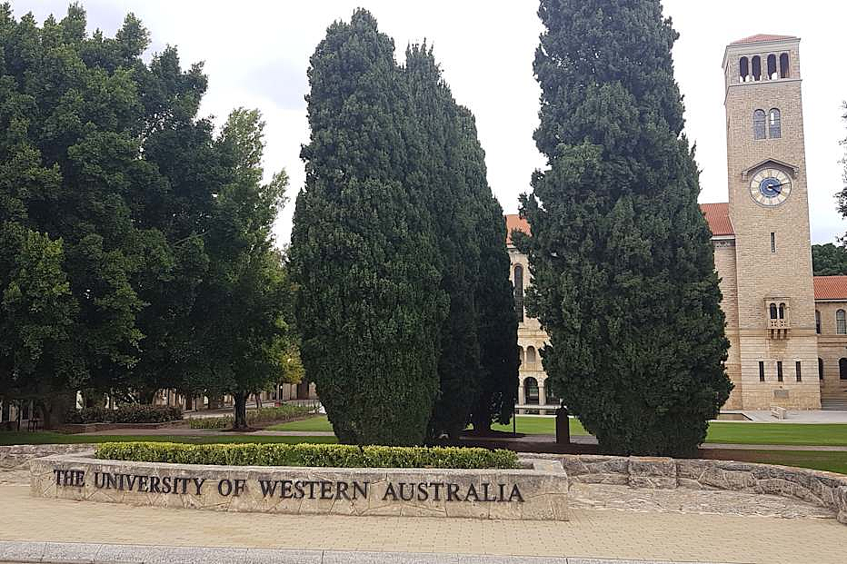 2026CWUR世界大学排名发布，澳洲八大集体“躺平”，UNSW逆袭登顶（组图） - 8