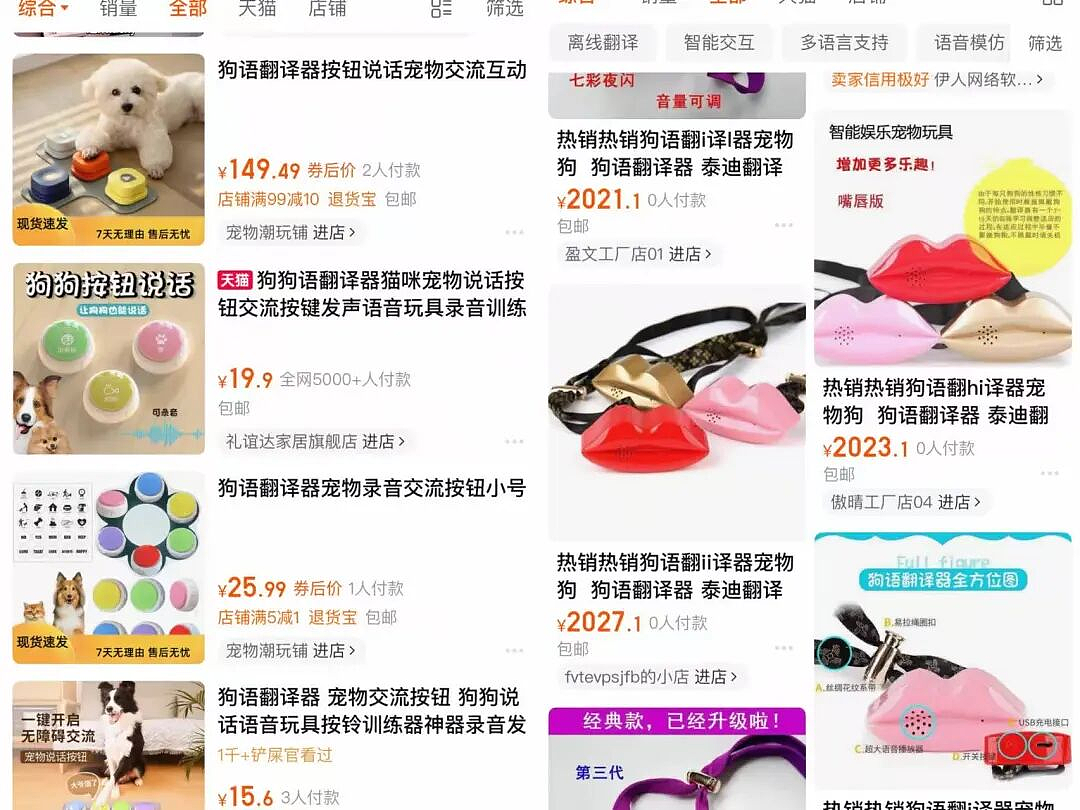 年度最离谱骗保案曝光，“蠢贼扮成熊手撕劳斯莱斯”让人笑喷 - 7