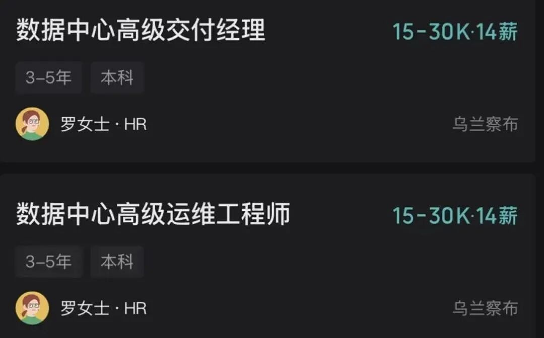 融资2300亿的马斯克,败给了这个中国小城 - 2