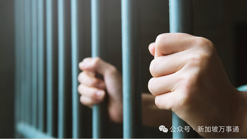超1300人感染、单周激增131起、17个感染群!新加坡骨痛热5大高危“黑区”曝光(组图) - 12