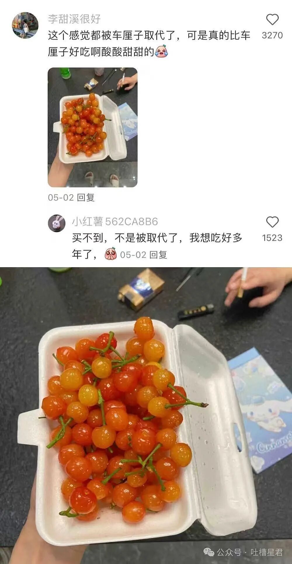 “有哪些以前很火现在被淘汰的水果...?” 这些才是真正的意难平(组图) - 5