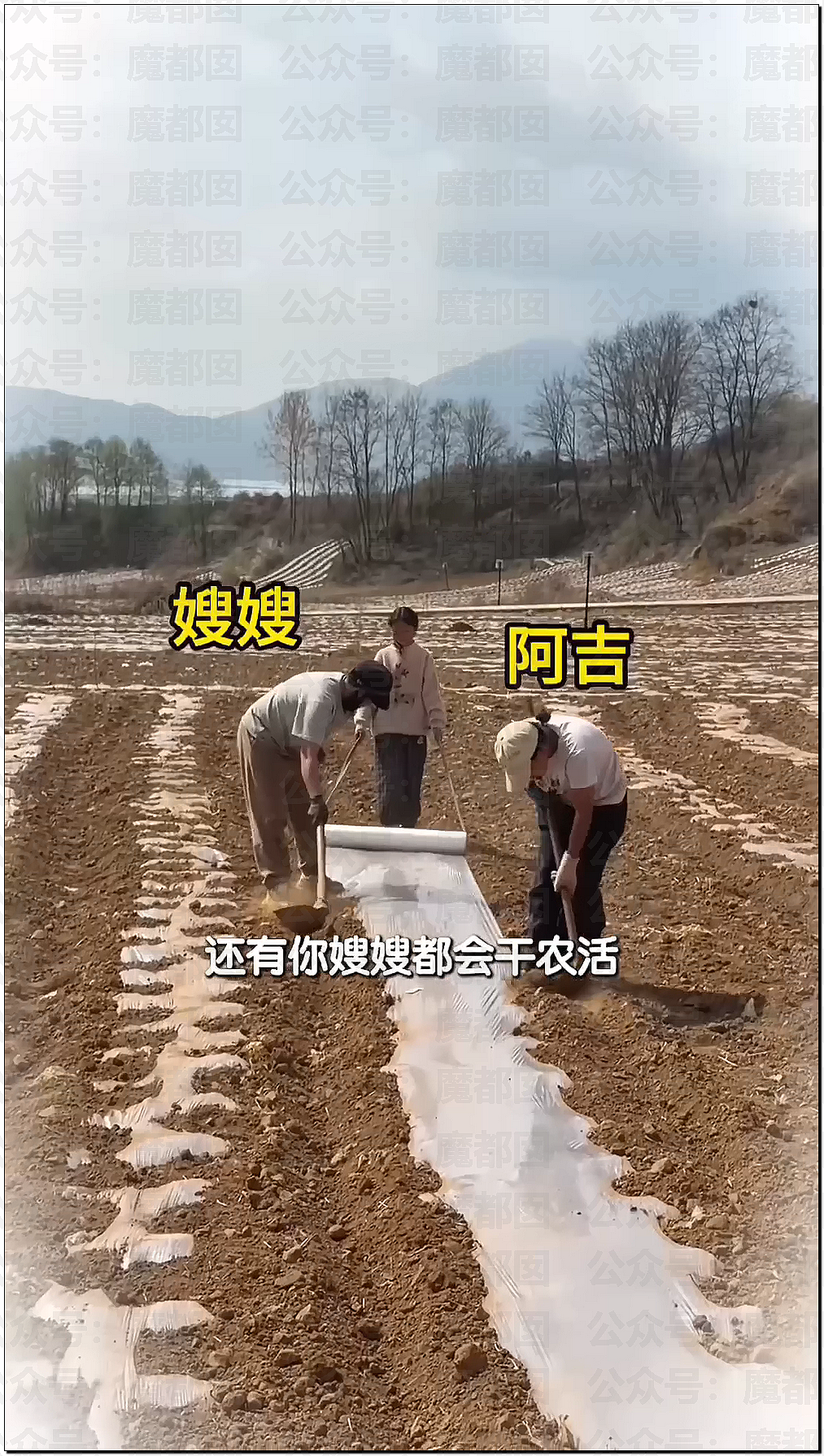 刺激！宝马中国发视频暗讽某大厂？B太被帮扶女孩骗了18万引发全网震怒！ - 62