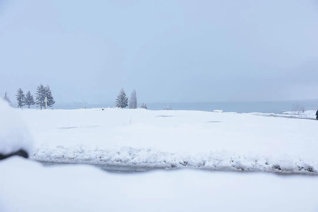 新西兰一地进入紧急状态!25厘米暴雪砸下,华人游客被困,发贴“求出逃”...(组图) - 15