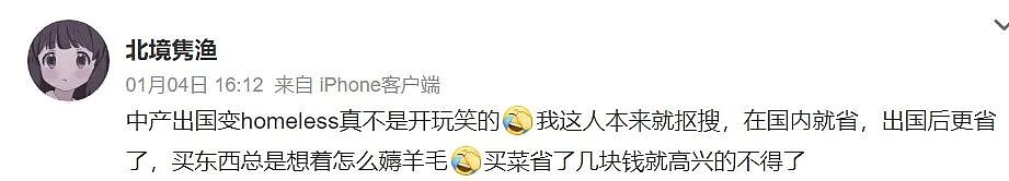 美国陪读中产妈：出国后，我开始偷酱料、薅1块钱袋子，只逛Costco（组图） - 5
