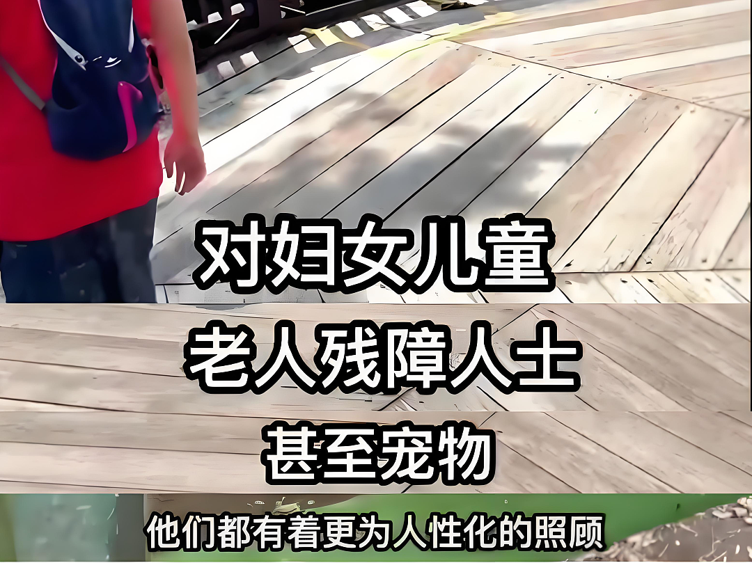 中国网红博主硬核剖析新加坡“封神级”5大生存优势！唯独这点引惹怒无数网友... - 5