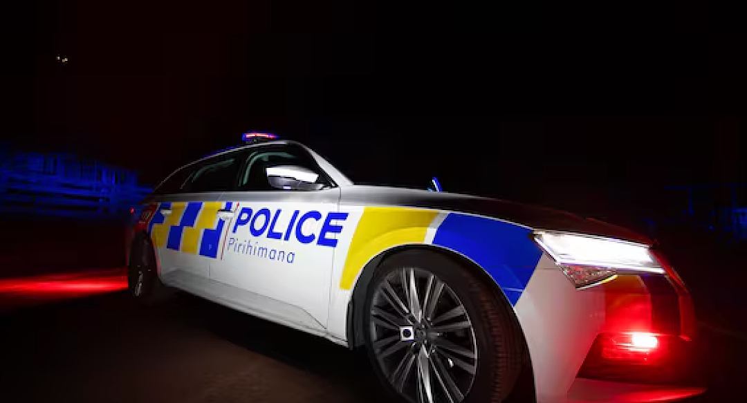 深夜狂飙逃亡!奥克兰男子被电击+警犬制服,车内惊现枪弹(组图) - 1