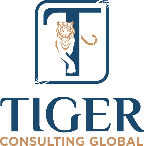 【税务】《全球与国内最低税合并纳税申报表》CGDMTR如何填写? - 3