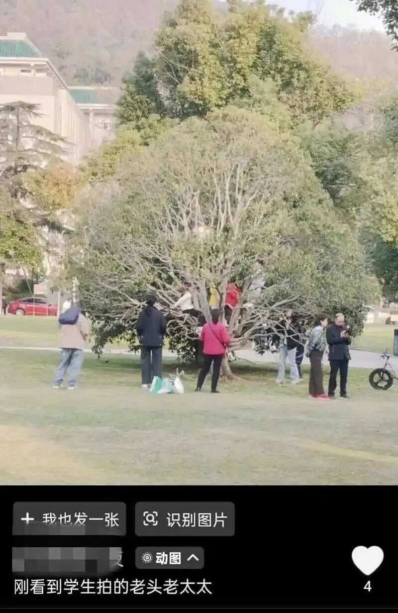 武汉大学开放校园后食堂爆满，学生“无座可坐”（组图） - 2