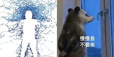 蚊子为何总往人脸上冲？看似胡乱飞行，其实故意瞄准你的脑袋（组图）