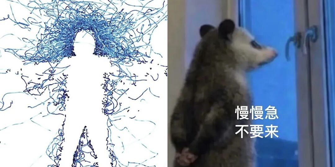 蚊子为何总往人脸上冲?看似胡乱飞行,其实故意瞄准你的脑袋(组图) - 1