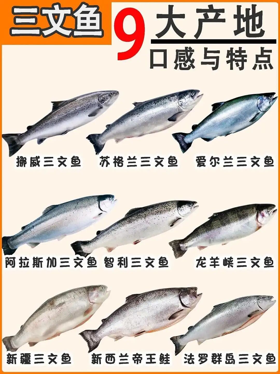 被欧美垄断40年的暴利生意,彻底败退中国 - 8
