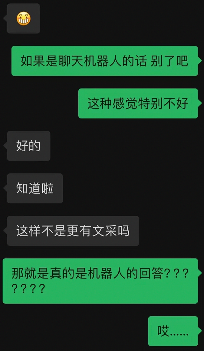 豆性恋渗透中国婚恋圈！AI代聊成社交外挂（组图） - 8