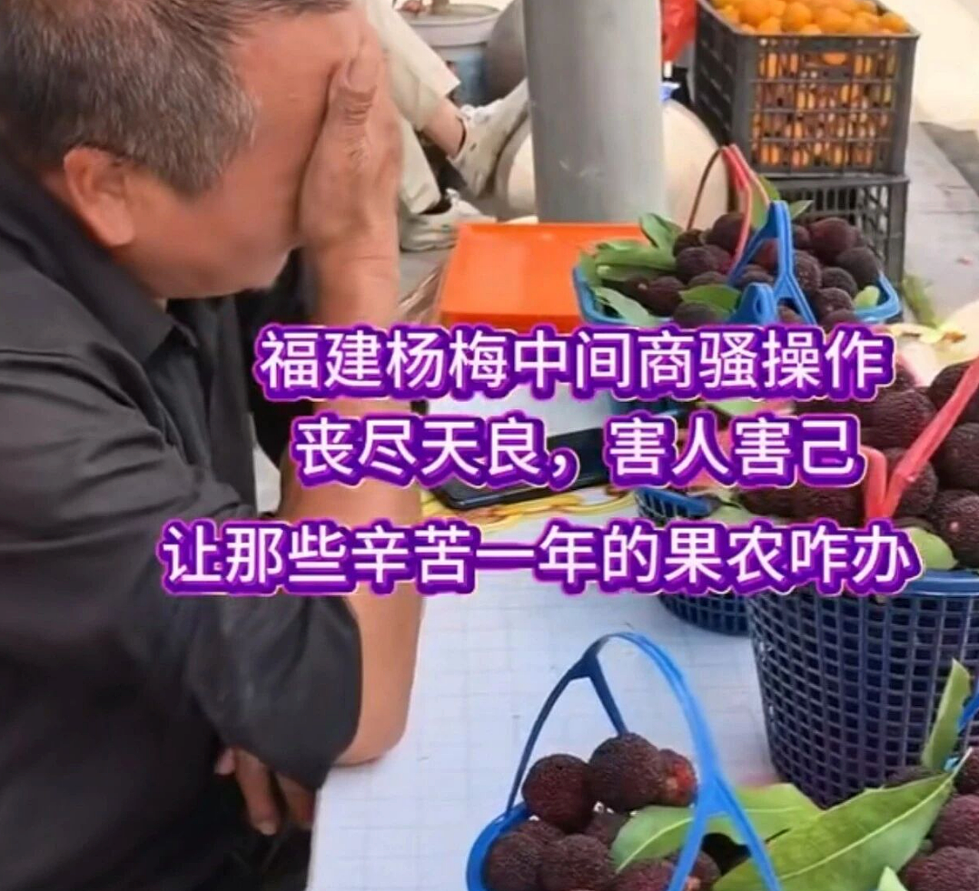 人人喊打的“泡药杨梅”，被自己人坑惨了（组图） - 1